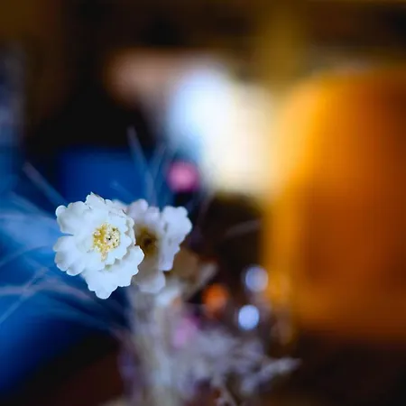 Appartement Kramerstube Quedlinbourg