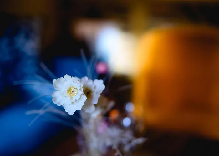 아파트 Kramerstube 크베들린부르크